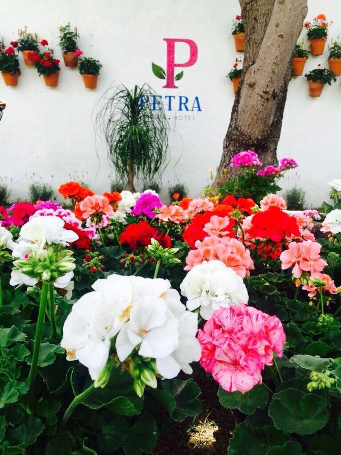 Hotel Petra San Miguel de Allende Bagian luar foto
